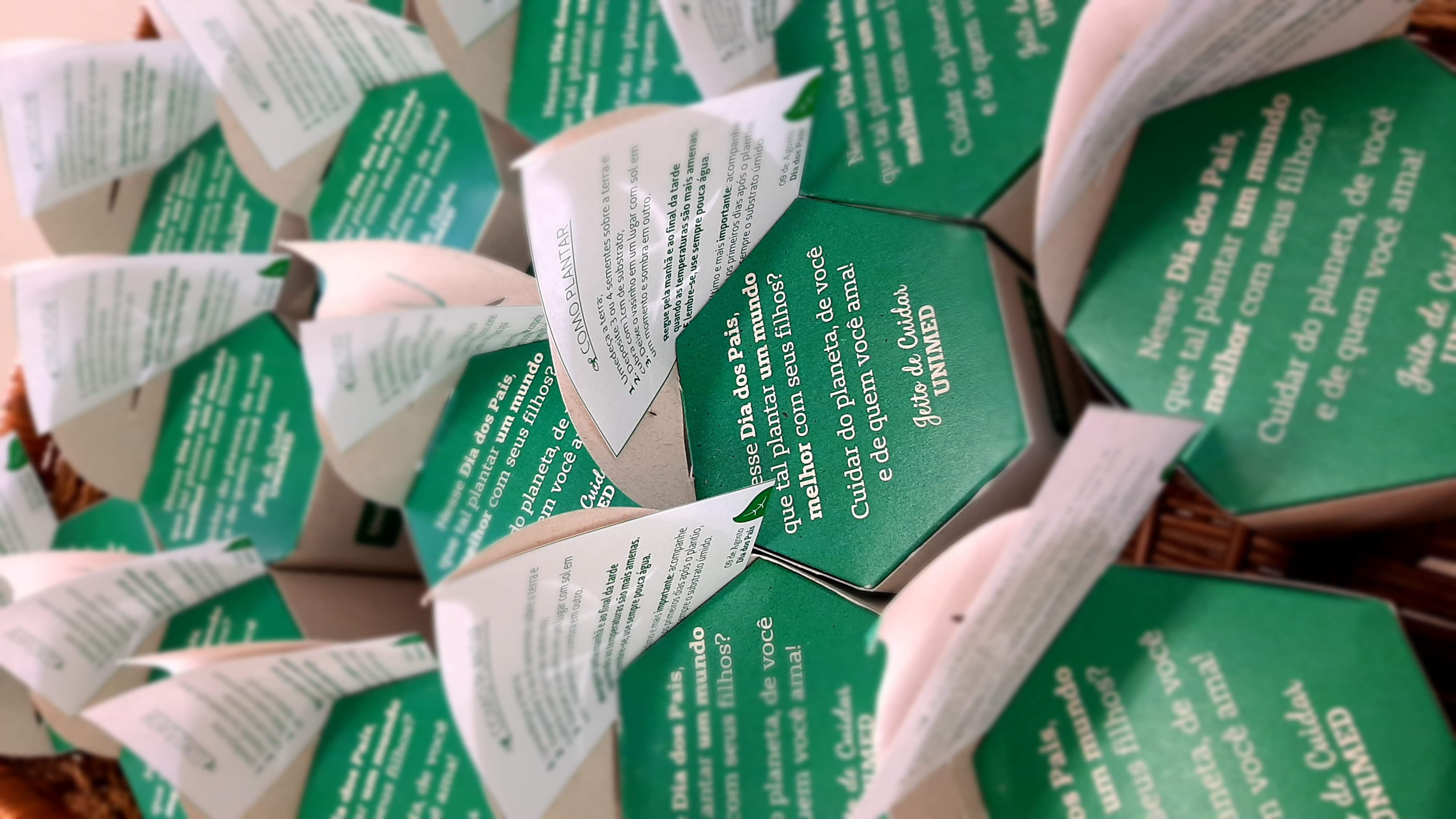 Dia dos Pais plantando novos hábitos