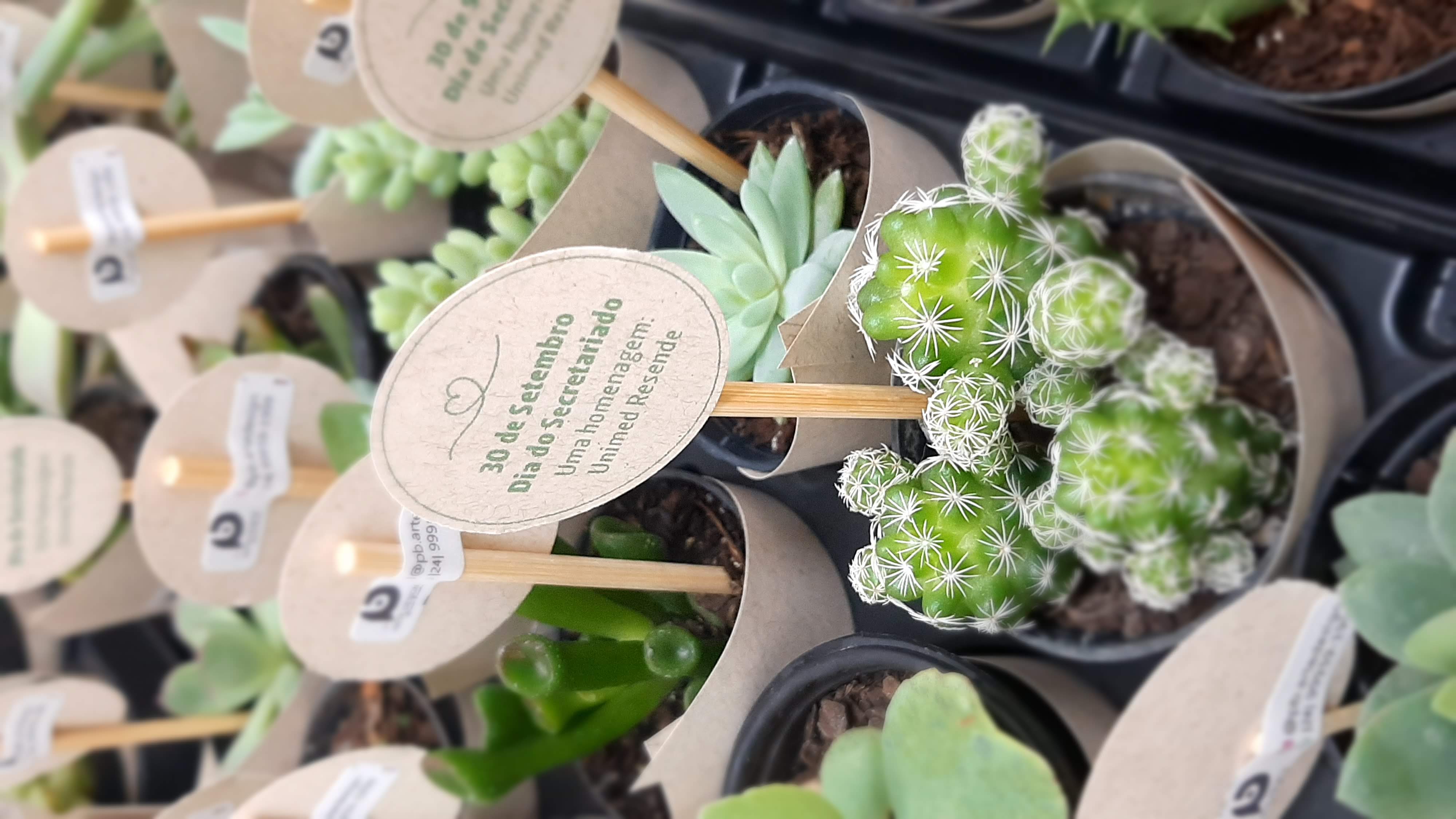 Secretárias e clientes recebem homenagens em setembro