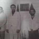 Cooperativa celebra 50 anos