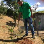 UTR realiza plantio de 88 mudas de árvores