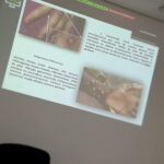 Varíola do Macaco é tema de treinamento recorde de público