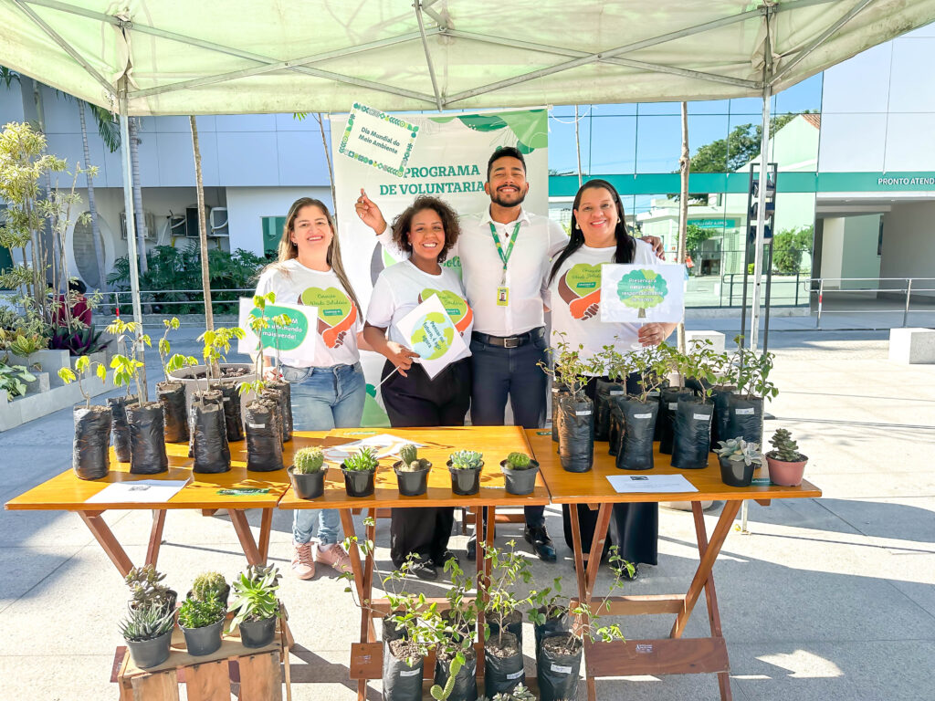 Ação de conscientização distribui mudas e suculentas